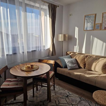 Craitelor Boutique Airport Apartment Otopeni Exteriör bild