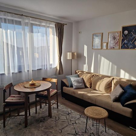 Craitelor Boutique Airport Apartment Otopeni Exteriör bild